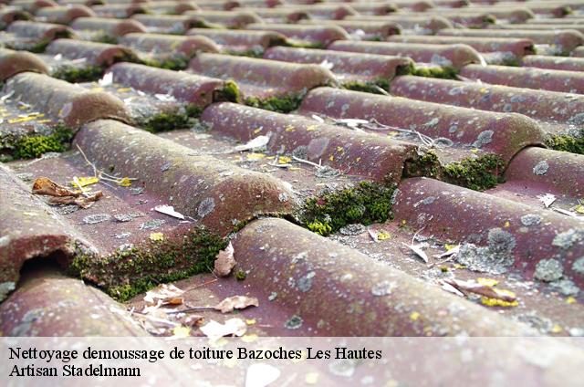 Nettoyage demoussage de toiture  bazoches-les-hautes-28140 Artisan Stadelmann