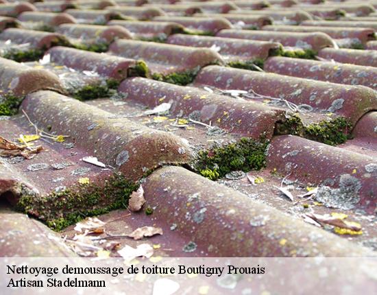 Nettoyage demoussage de toiture  28410