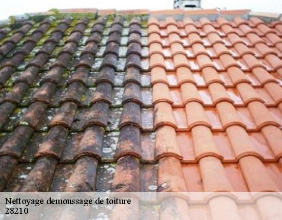Nettoyage demoussage de toiture  28210