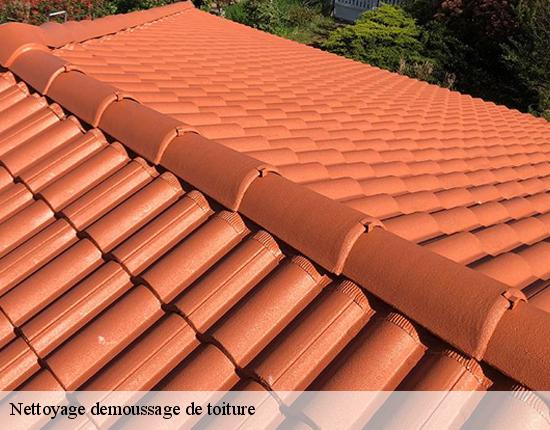Nettoyage demoussage de toiture  28210