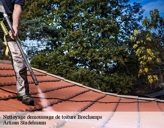 Nettoyage demoussage de toiture  28210