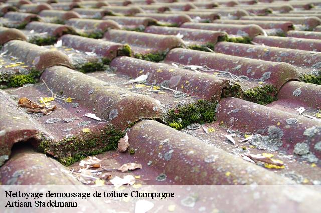 Nettoyage demoussage de toiture  champagne-28410 Artisan Stadelmann