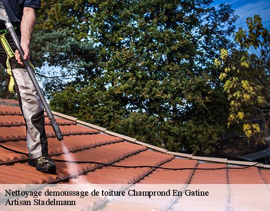 Nettoyage demoussage de toiture  28240