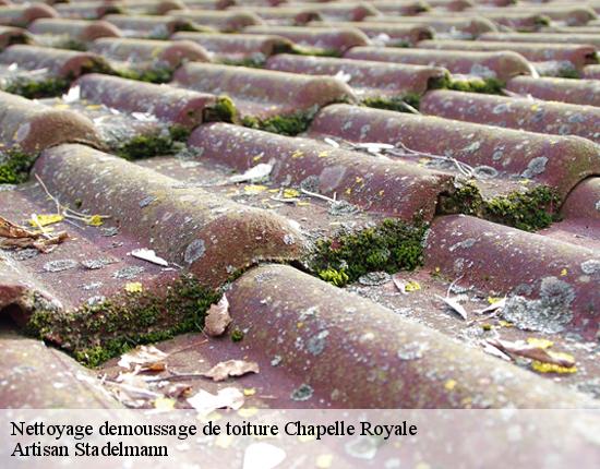 Nettoyage demoussage de toiture  28290