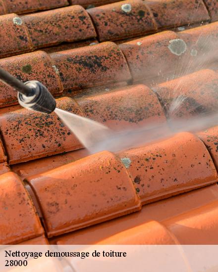 Nettoyage demoussage de toiture  28000