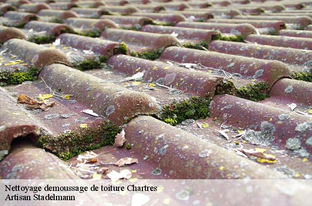 Nettoyage demoussage de toiture  chartres-28000 Artisan Stadelmann