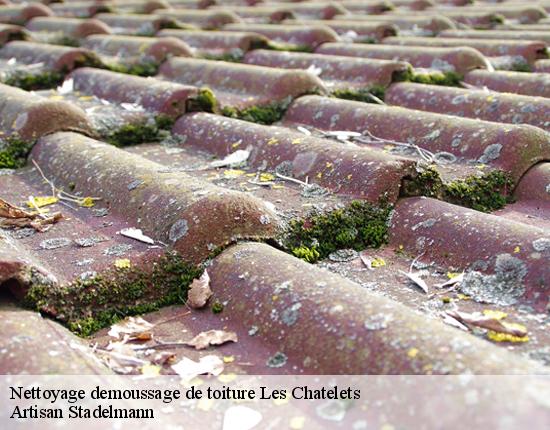 Nettoyage demoussage de toiture  28270