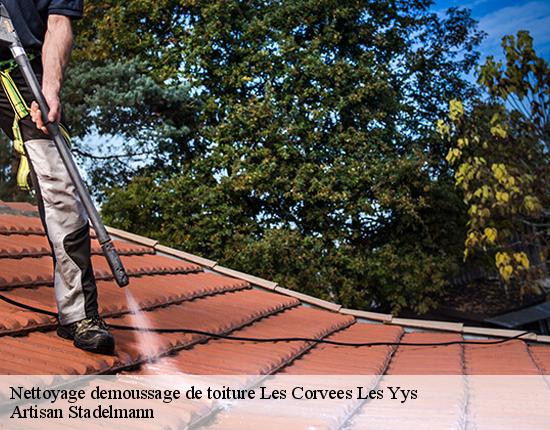 Nettoyage demoussage de toiture  28240