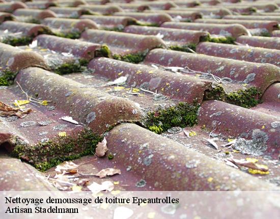 Nettoyage demoussage de toiture  28120