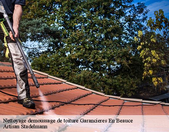 Nettoyage demoussage de toiture  28700
