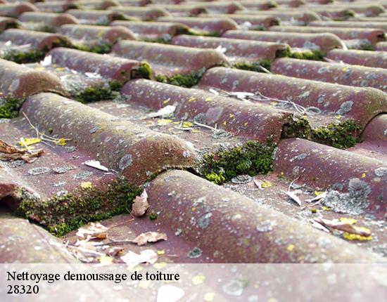 Nettoyage demoussage de toiture  28320