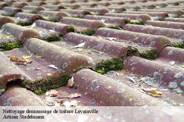 Nettoyage demoussage de toiture  levainville-28700 Artisan Stadelmann