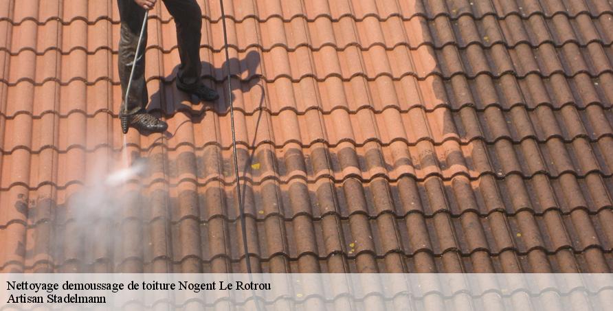 Nettoyage demoussage de toiture nogent-le-rotrou-28400