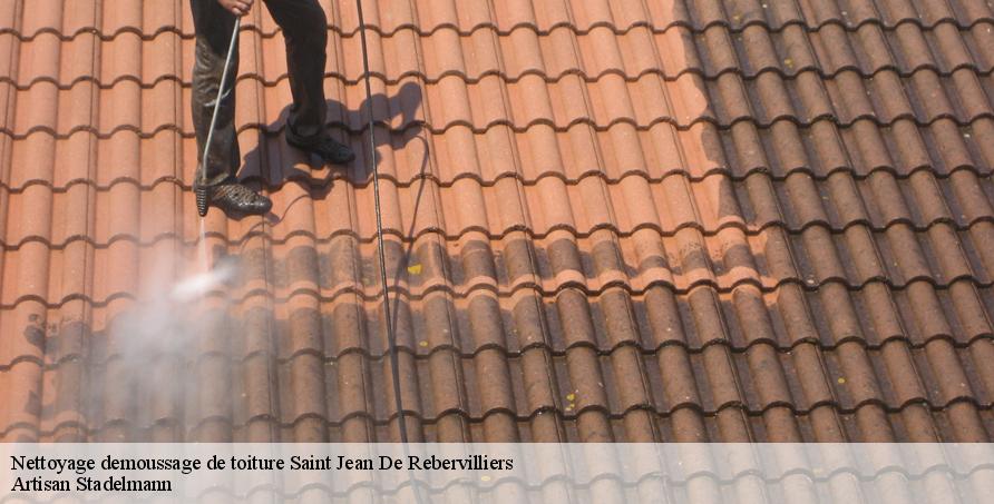 Nettoyage demoussage de toiture saint-jean-de-rebervilliers-28170