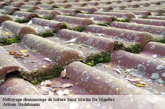 Nettoyage demoussage de toiture  saint-martin-de-nigelles-28130 Artisan Stadelmann