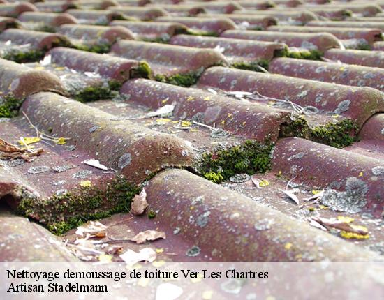Nettoyage demoussage de toiture  28630