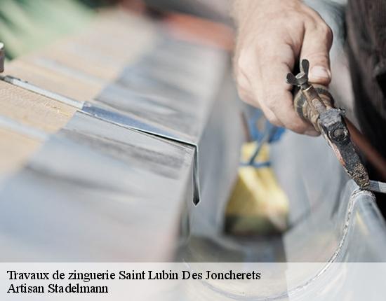Travaux de zinguerie  28350